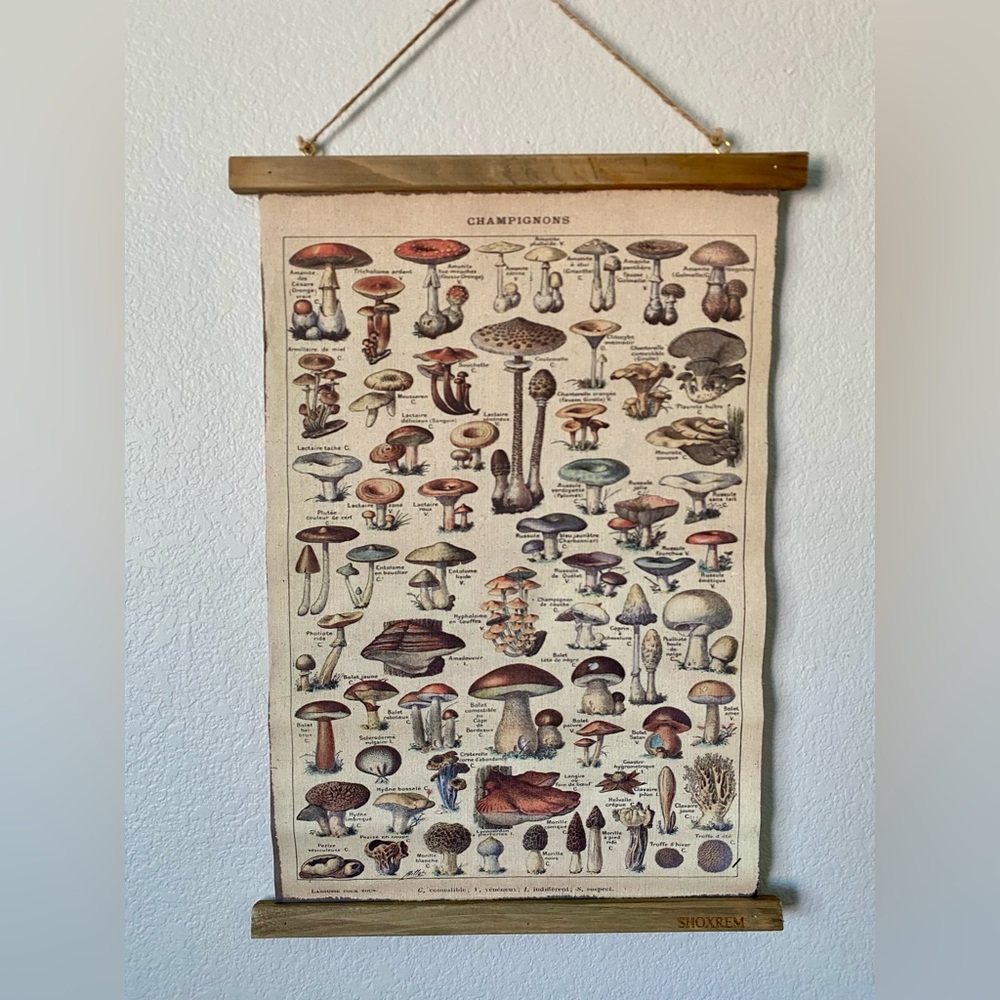 🍄‍🟫Vintage Mushroom Canvas Banner🍄